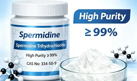 What Is Spermidine Hydrochloride Powder Used For?